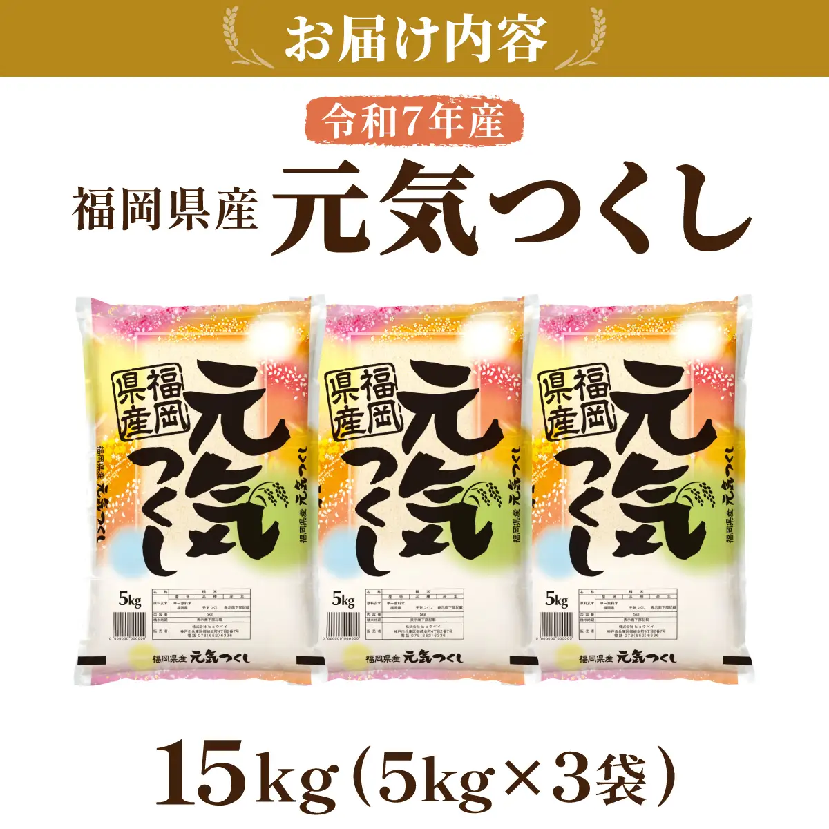 令和7年産 福岡県産元気つくし 15kg | 福岡県篠栗町 | ふるさと納税