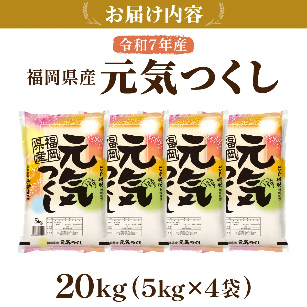 令和7年産 福岡県産元気つくし 20kg