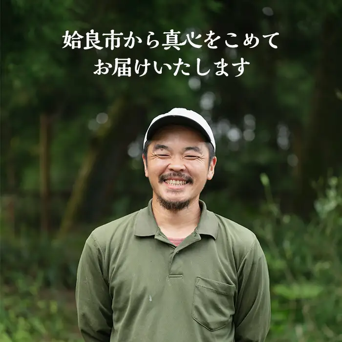 a1111 ＜保存料・発色剤・結着材・合成着色料 無添加＞月ノ灯牧場直送！鹿児島県産黒豚ソーセージ3種盛り合わせ計12本(ソーセージ4本・ハーブソーセージ4本・チョリソー4本)【pig village company】 姶良市 国産 豚肉 黒豚 ソーセージ セット 鹿児島