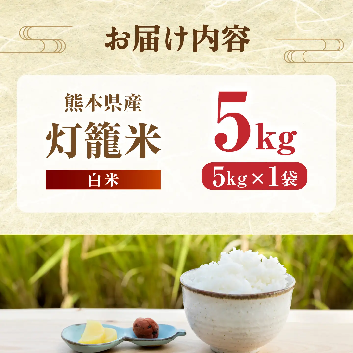 白米 灯籠米 5kg 令和8年産 熊本県産米 ブレンド米 送料無料 お米 国産 農家応援 【株式会社 農産ベストパートナー】[ZBP157]