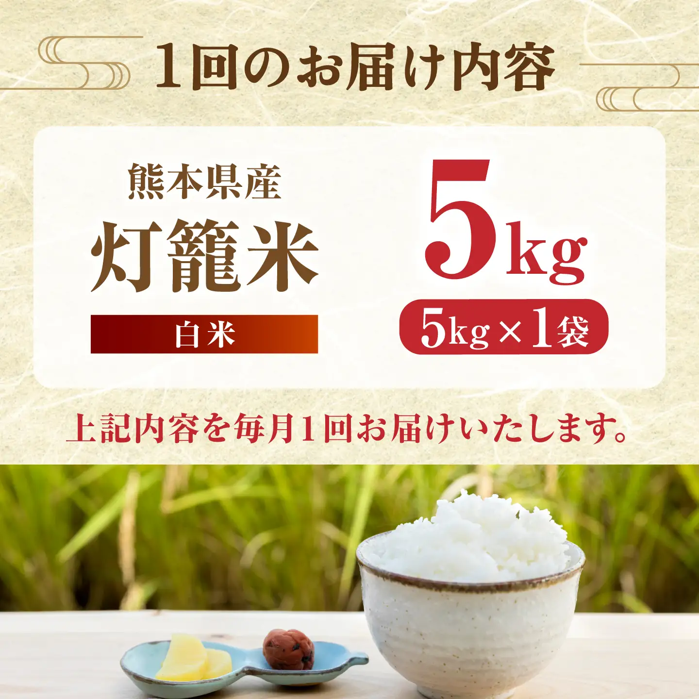 【全3回定期便】白米 灯籠米 5kg 令和8年産 熊本県産米 ブレンド米  送料無料 お米 国産 農家応援 【株式会社  農産ベストパートナー】[ZBP158]