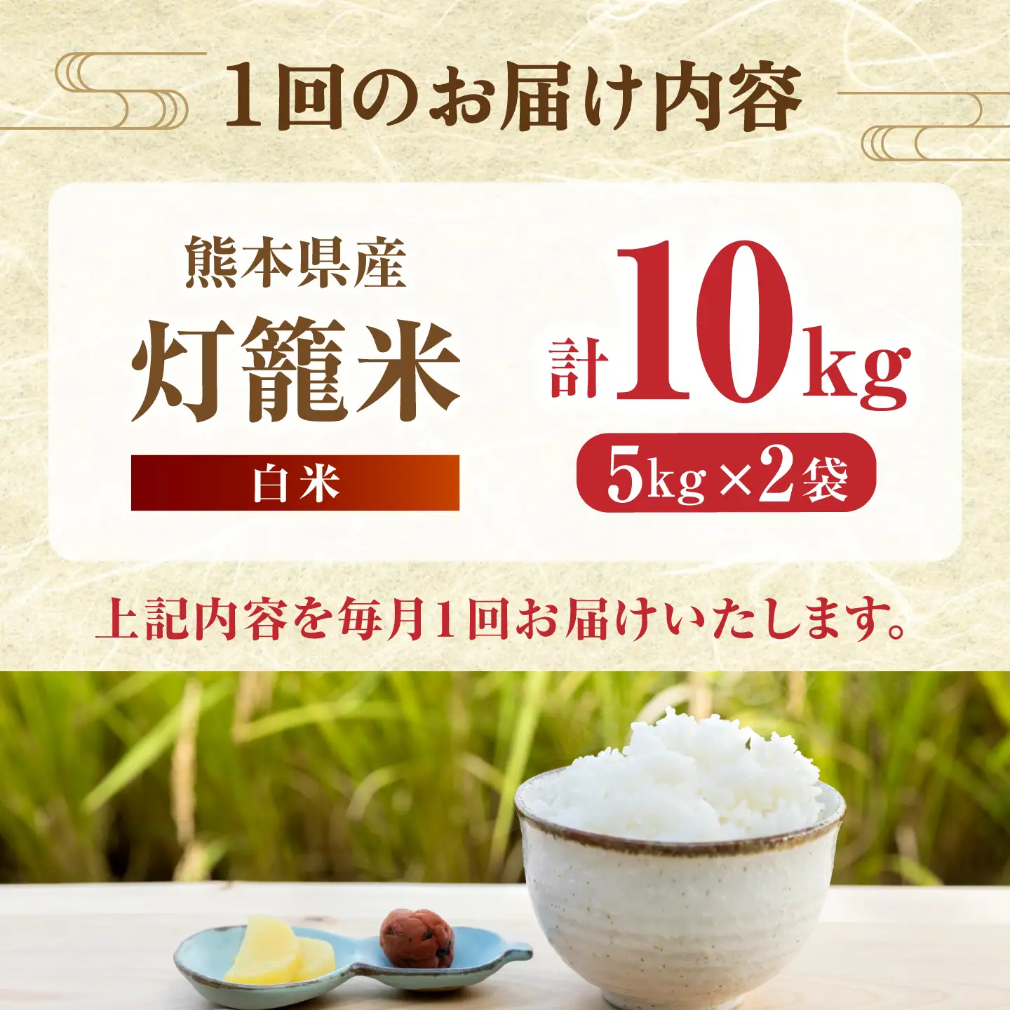 【全6回定期便】白米 灯籠米 10kg 令和8年産 熊本県産米 ブレンド米 送料無料 お米 国産 農家応援 【株式会社 農産ベストパートナー】[ZBP163]