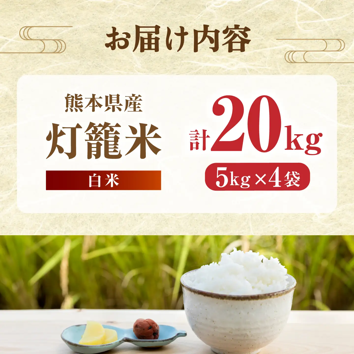 白米 灯籠米 20kg 令和8年産 熊本県産米 ブレンド米 送料無料 お米 国産 農家応援 【株式会社 農産ベストパートナー】[ZBP165]