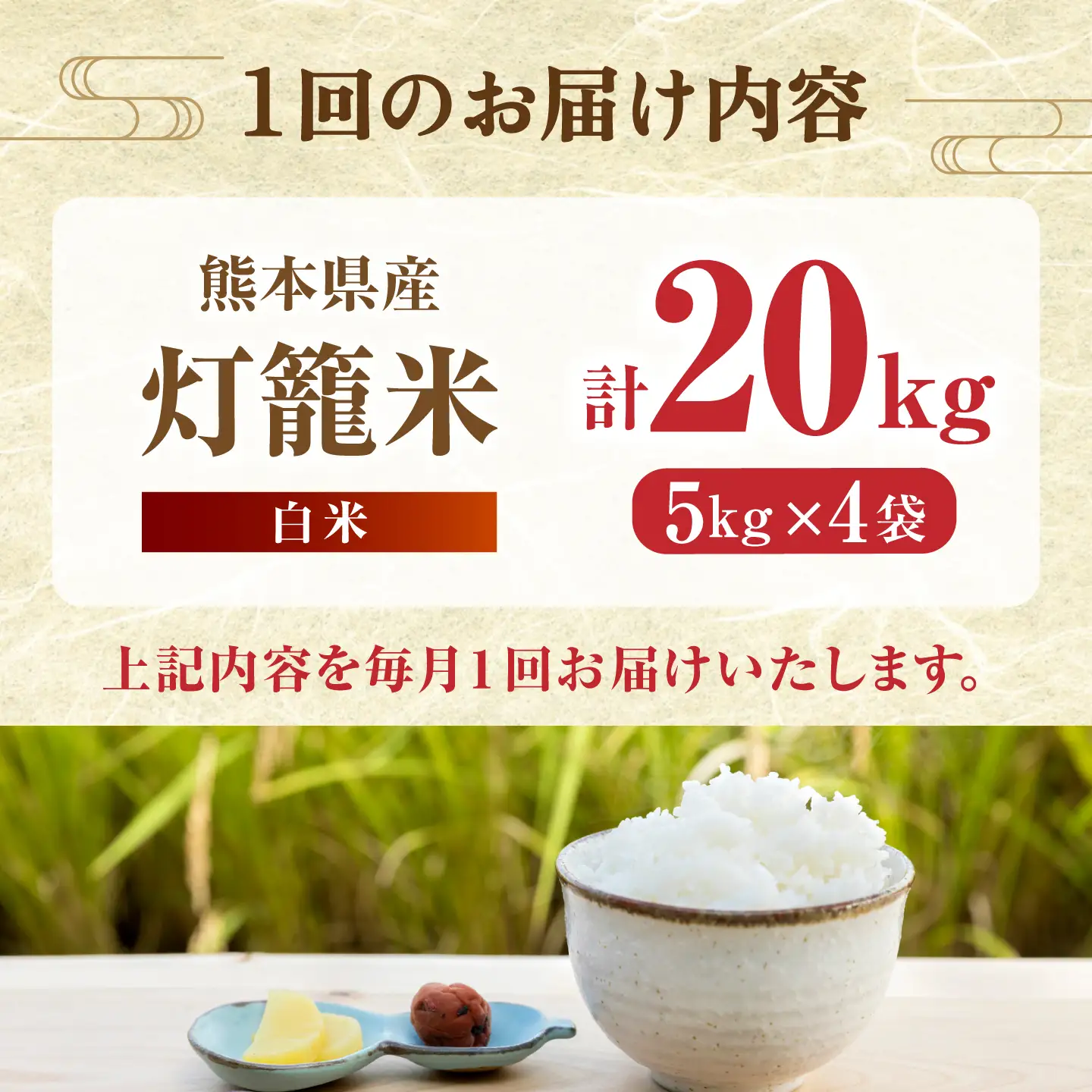 【全6回定期便】白米 灯籠米 20kg 令和8年産 熊本県産米 ブレンド米 送料無料 お米 国産 農家応援 【株式会社 農産ベストパートナー】[ZBP167]