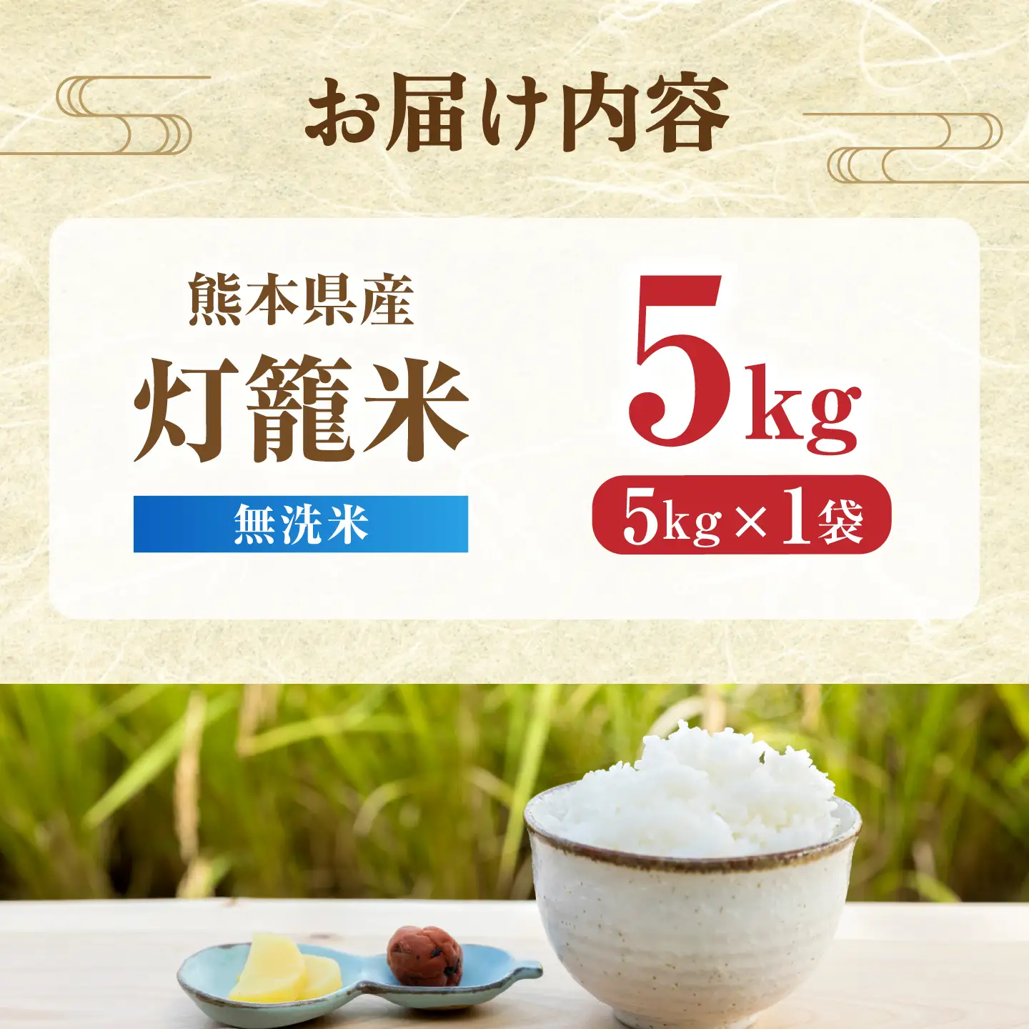 【先行予約】無洗米 灯籠米 5kg 令和8年産 熊本県産米 ブレンド米 送料無料 お米 国産 農家応援 【株式会社 農産ベストパートナー】[ZBP169]