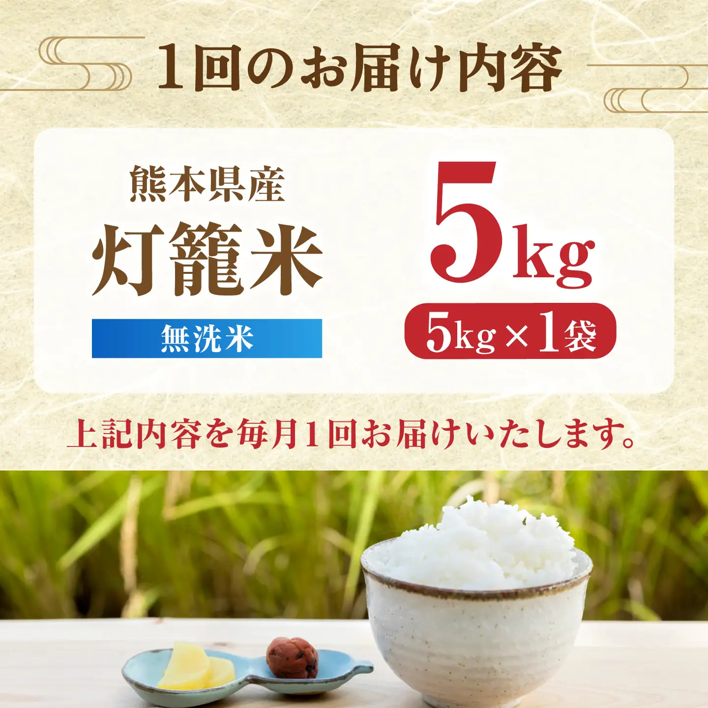 【先行予約】【全3回定期便】無洗米 灯籠米 5kg 令和8年産 熊本県産米 ブレンド米 送料無料 お米 国産 農家応援 【株式会社 農産ベストパートナー】[ZBP170]