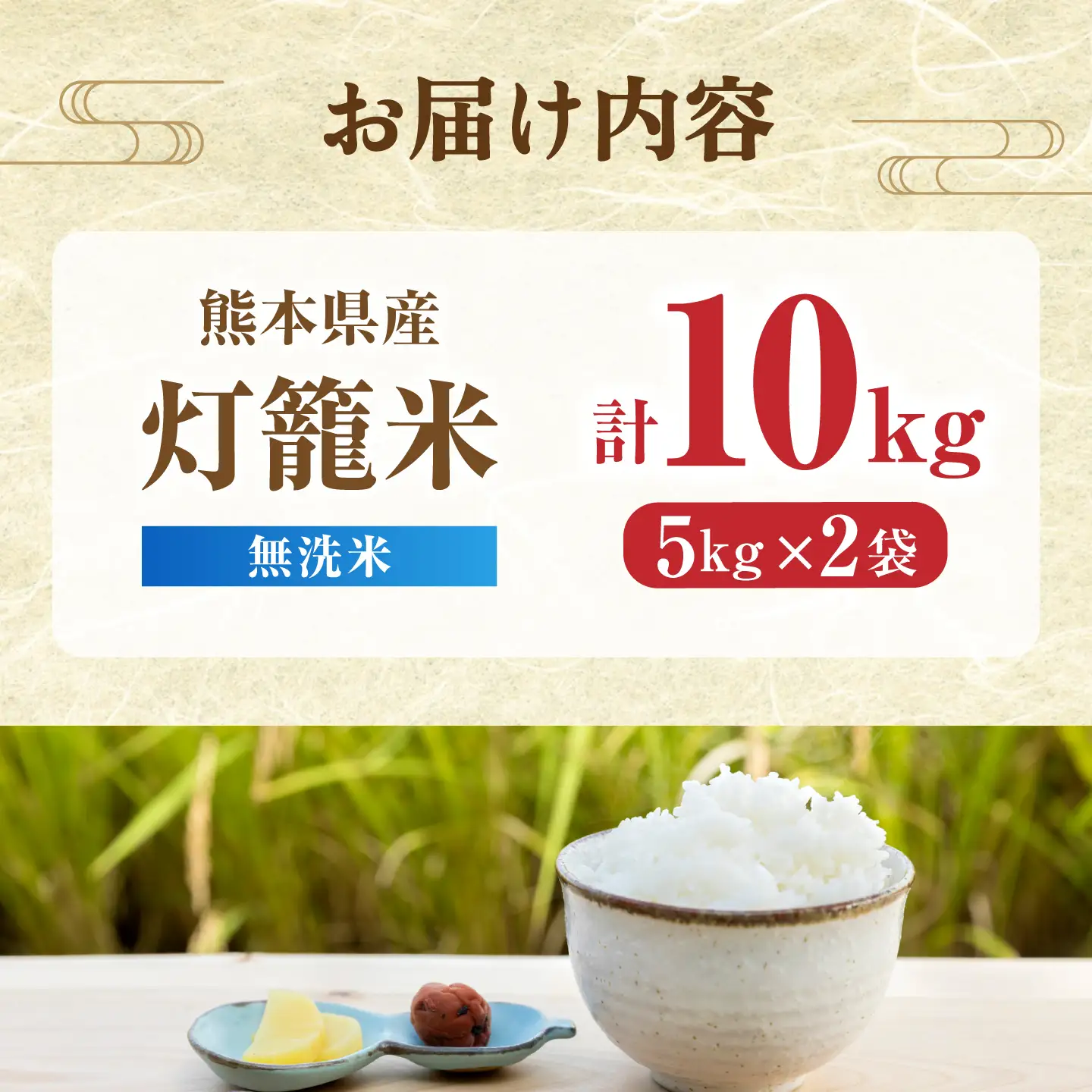 【先行予約】無洗米 灯籠米 10kg 令和8年産 熊本県産米 ブレンド米 送料無料 お米 国産 農家応援 【株式会社 農産ベストパートナー】[ZBP173]