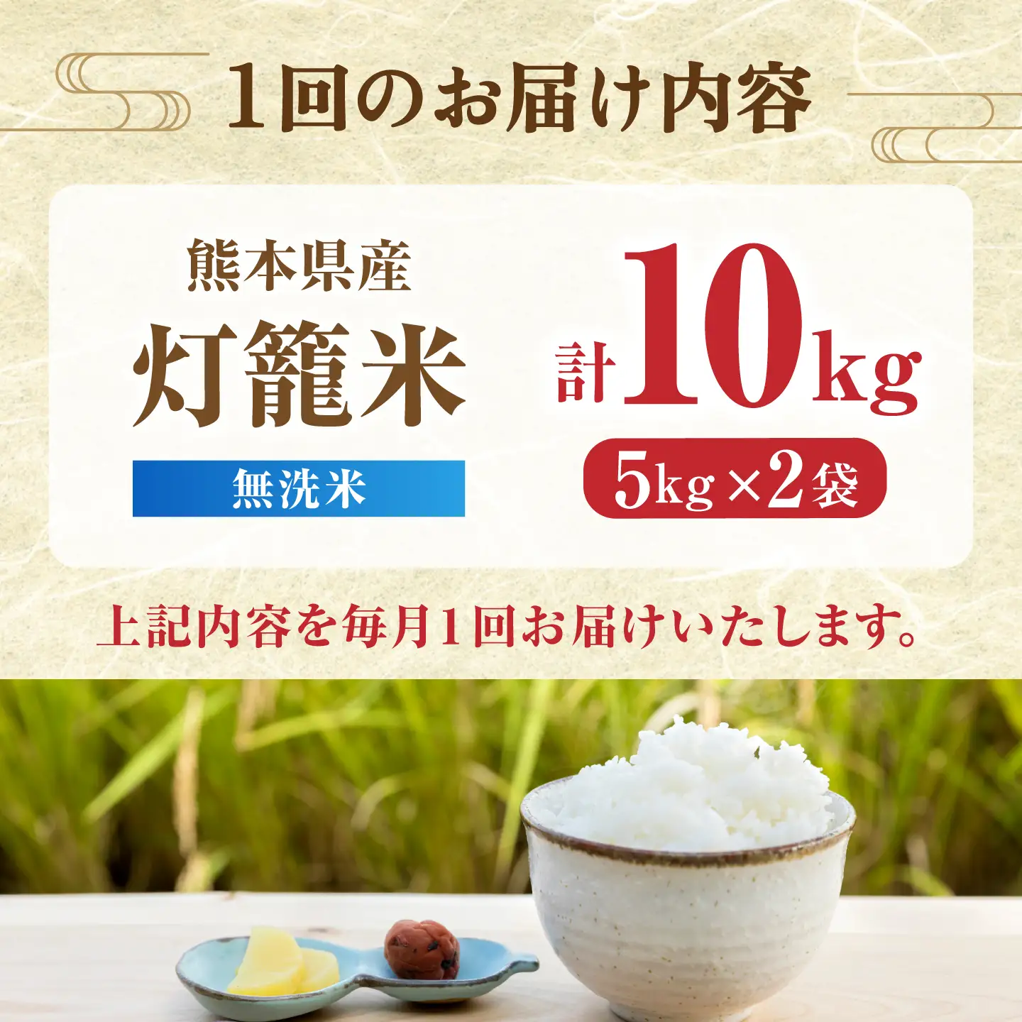 【先行予約】【全12回定期便】無洗米 灯籠米 10kg 令和8年産 熊本県産米 ブレンド米 送料無料 お米 国産 農家応援 【株式会社 農産ベストパートナー】[ZBP176]