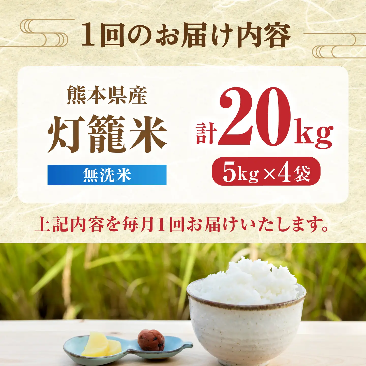 【先行予約】【全6回定期便】無洗米 灯籠米 20kg 令和8年産 熊本県産米 ブレンド米 送料無料 お米 国産 農家応援 【株式会社 農産ベストパートナー】[ZBP179]