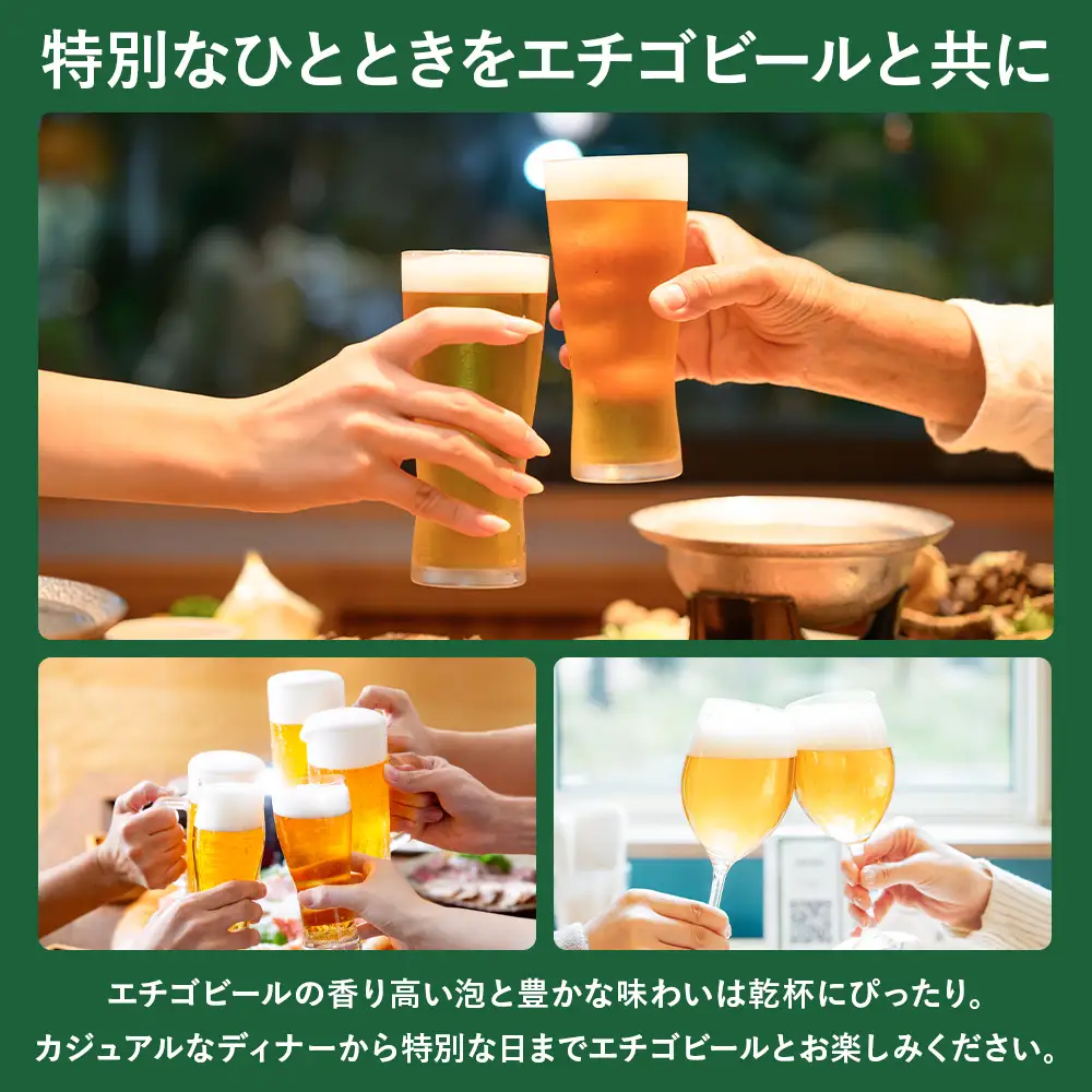 クラフトビール エチゴビール こしひかり越後ビール 350ml 缶 24本 〔P-447〕【最短3日発送】地ビール コシヒカリ 那須町