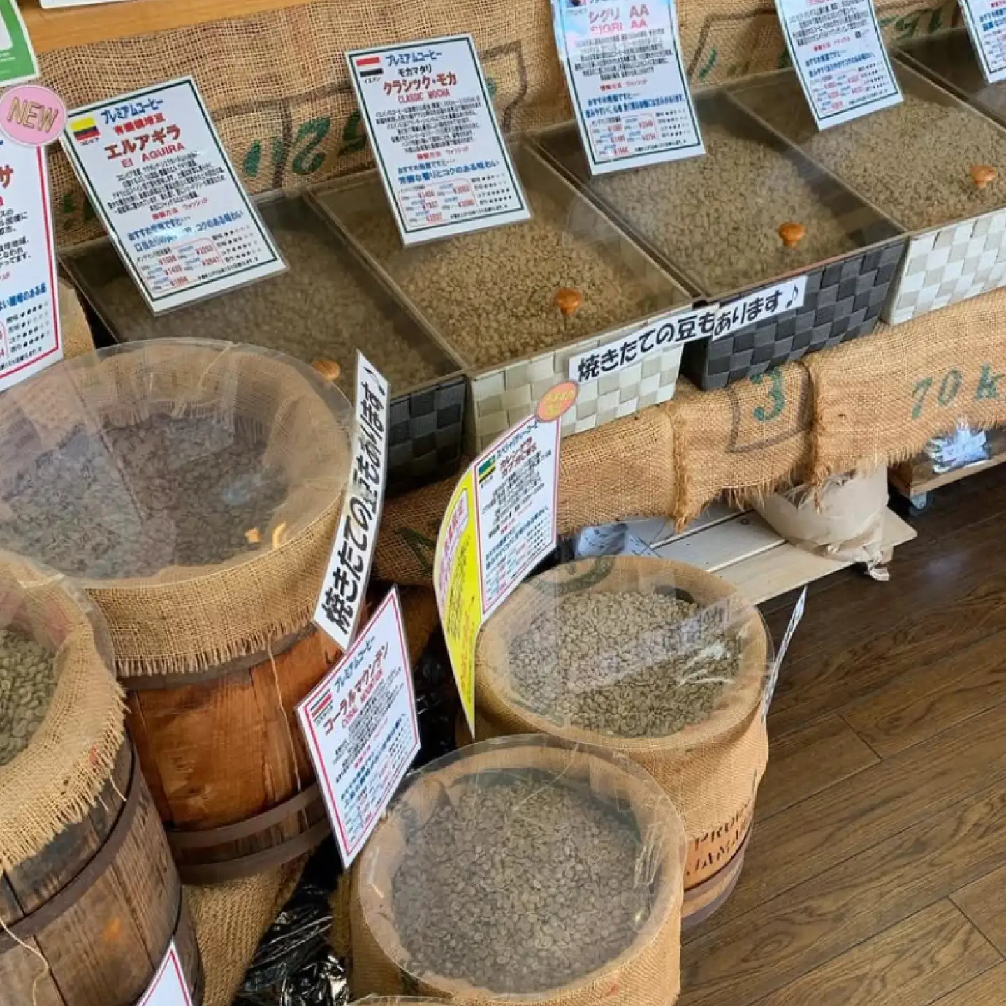 黒船ブレンド ビタータイプ コーヒー粉 中挽き 500g【株式会社はしもと茶舗 珈琲部 自家焙煎珈琲豆サニム】[AKIT004]