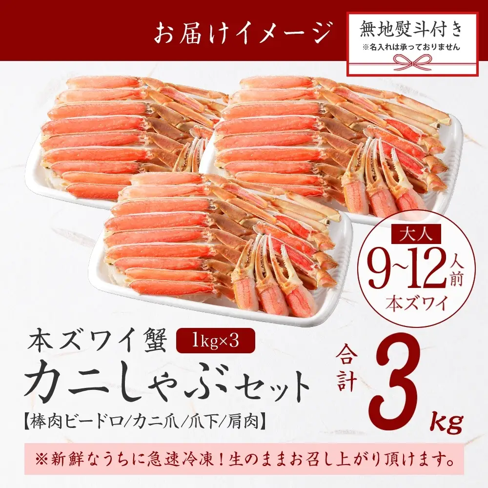 《12月指定可 最短7営業日発送》 本ズワイガニ 蟹しゃぶ ビードロ 3kg 無地熨斗 北海道 3865