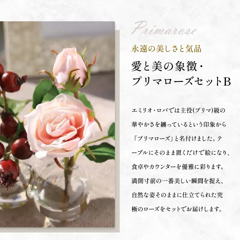 エミリオロバ　プリマローズセットB