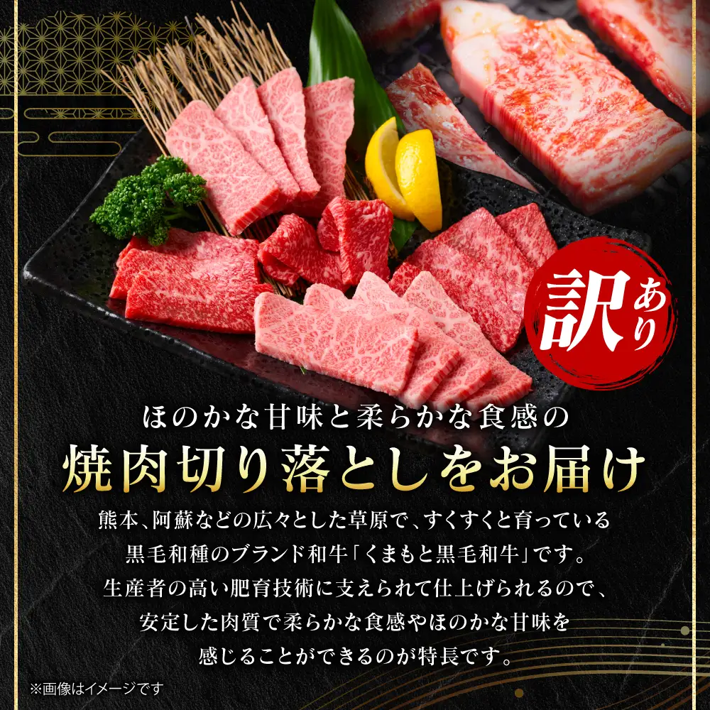 牛肉 【訳あり】 くまもと黒毛和牛 焼肉 切り落とし 1kg （500g×2パック） A4～A5ランク 牛肉