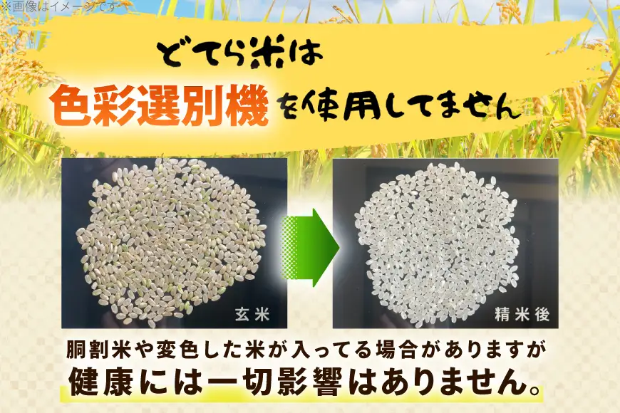 【新米先行予約】 米 令和8年産 ななつぼし 10kg