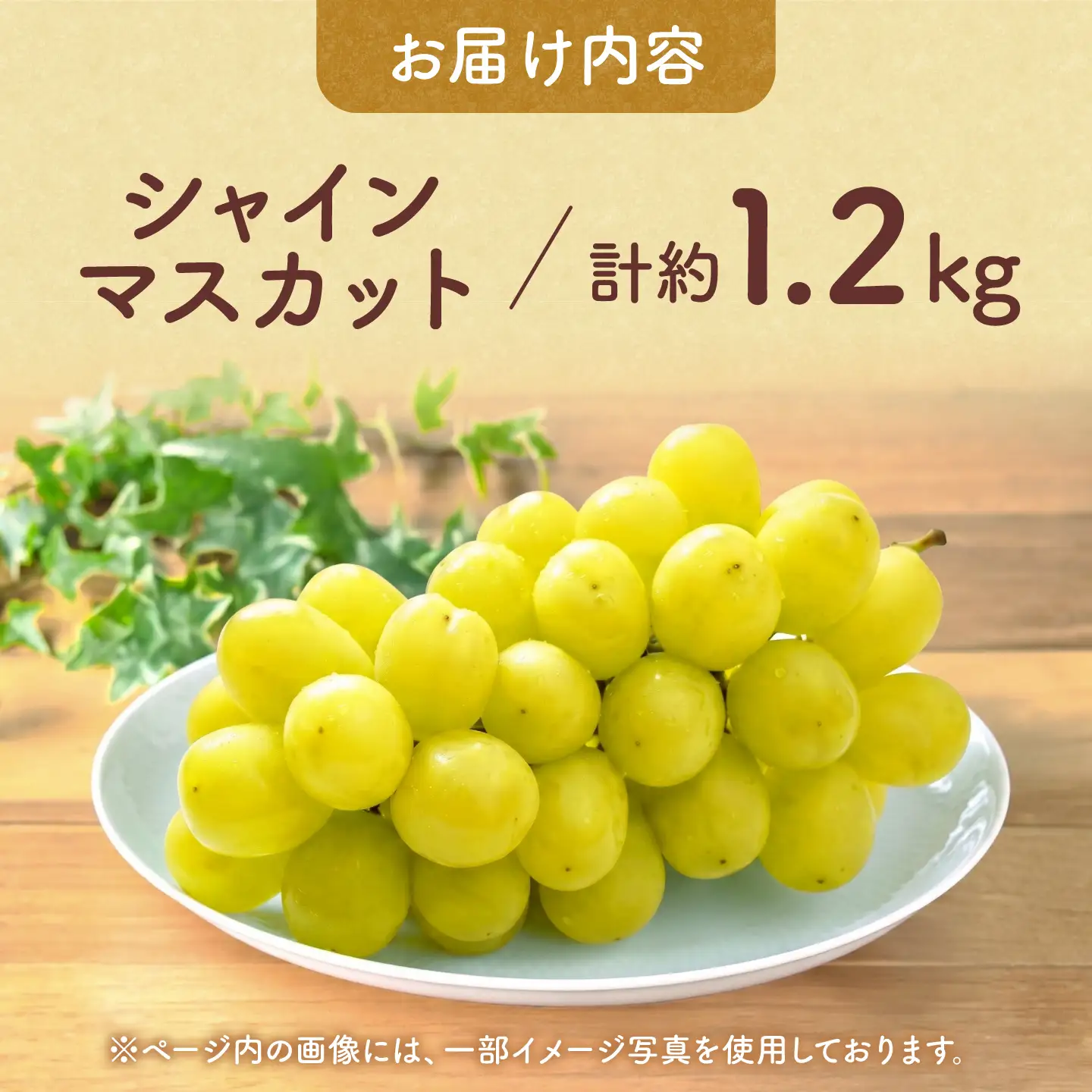 ＼生活応援よか値キャンペーン／先行予約 訳あり 金熟 シャインマスカット 計約1.2kg ZFO011-CP