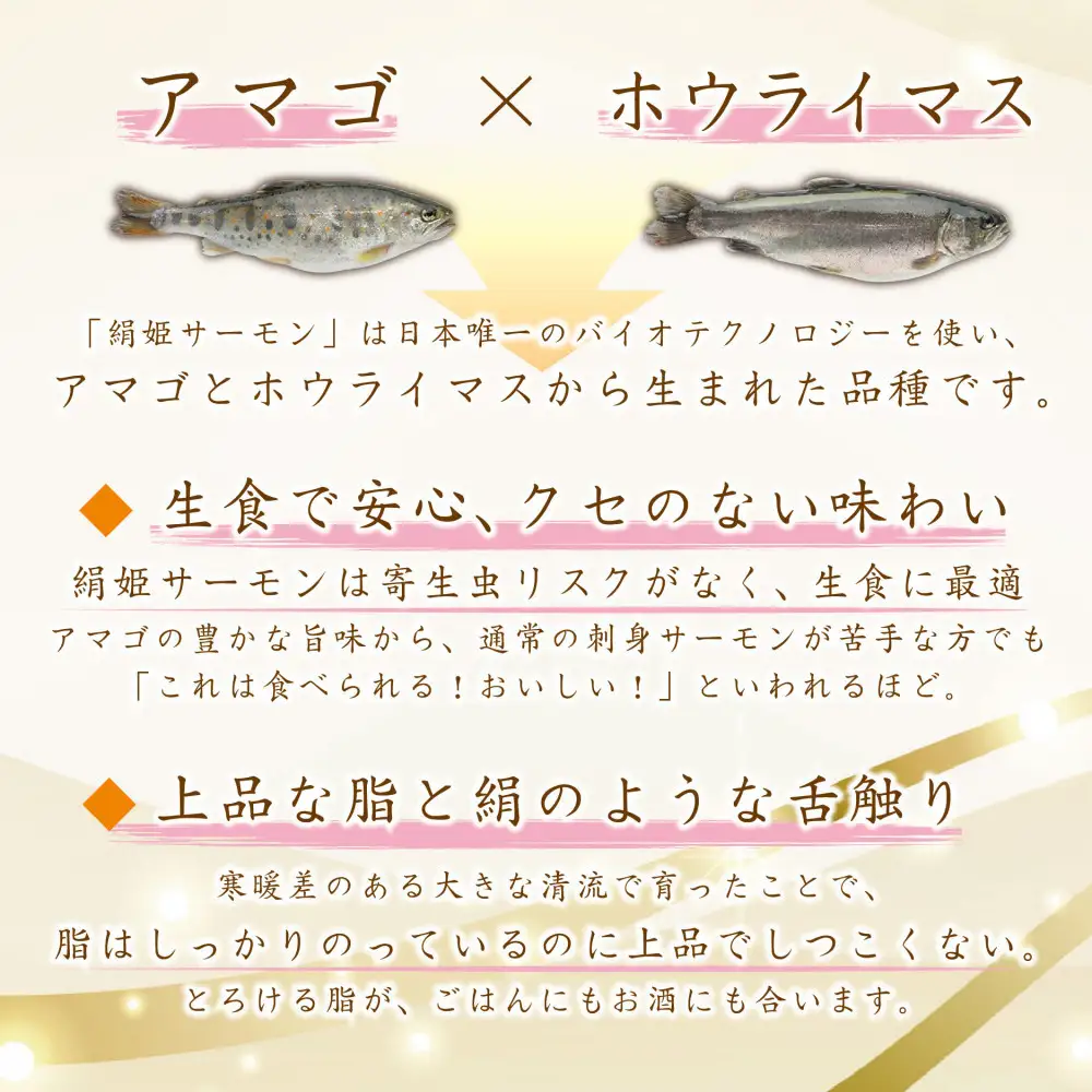 愛知ブランド・炙り絹姫サーモン柵約3kg