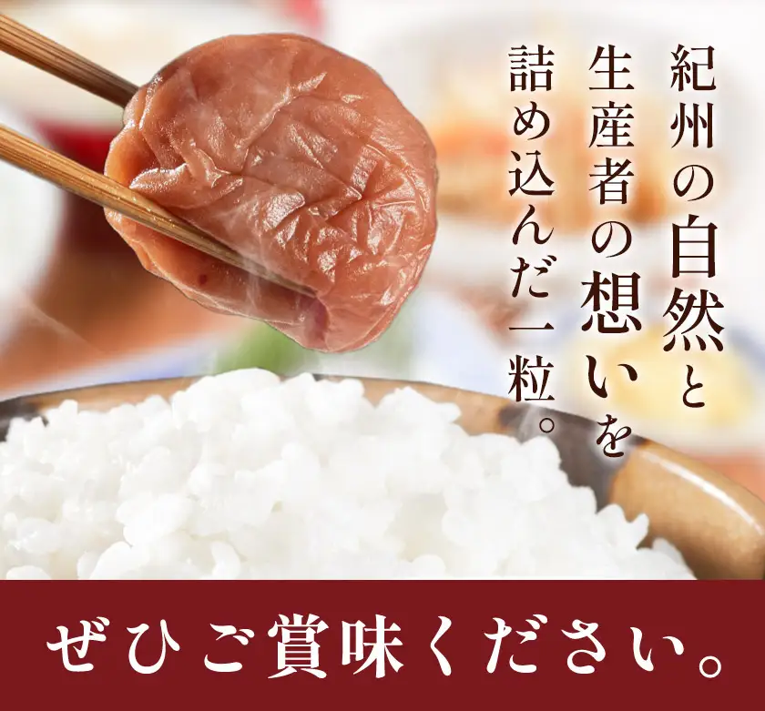 塩零梅 梅干し 紀州南高梅 食塩不使用 600g