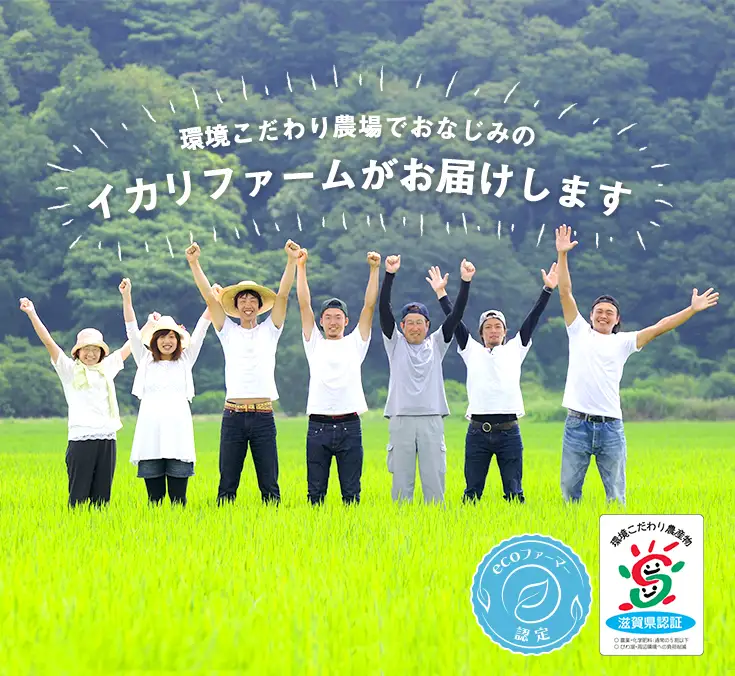 【新米　先行予約】令和8年産すっごいもちもち 「しきゆたか」 白米【10kg(5kg×2袋)】【C071W】