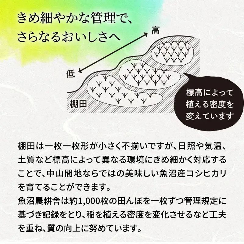 【令和8年産　先行予約】有機JAS認証米 米農家自慢の 魚沼産 コシヒカリ玄米3kg×1袋 米 お米 こめ こしひかり 玄米 有機 新潟県 魚沼市 魚沼