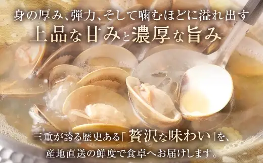 奥山安蔵商店 はまぐり 約500g 特製だし汁付き 蛤 貝 魚介 魚介類 海鮮 地はまぐり 希少 出汁 酒蒸し 焼きはまぐり 産地直送 冷蔵