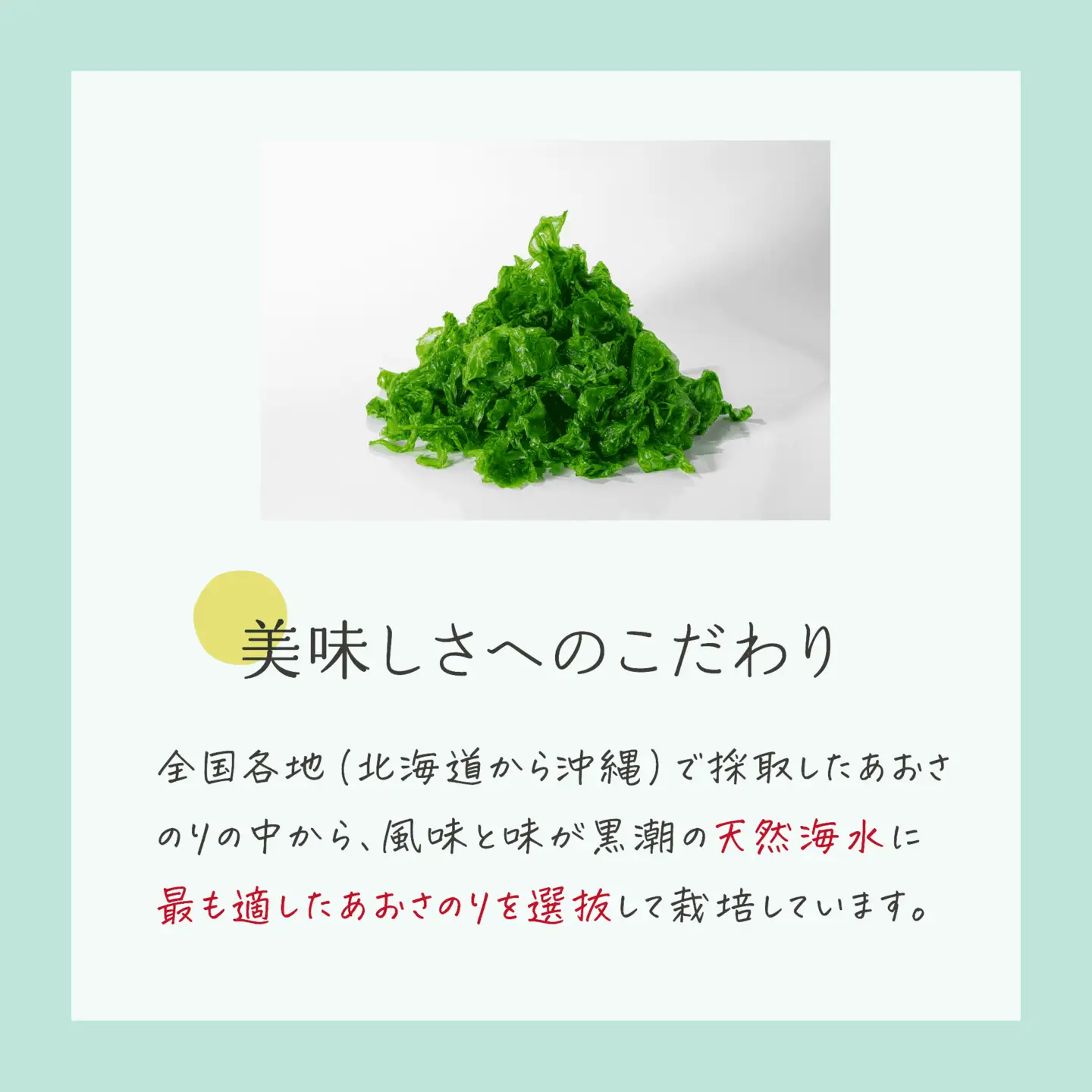 海の緑黄色野菜 あおさ（乾燥） 12g×3袋