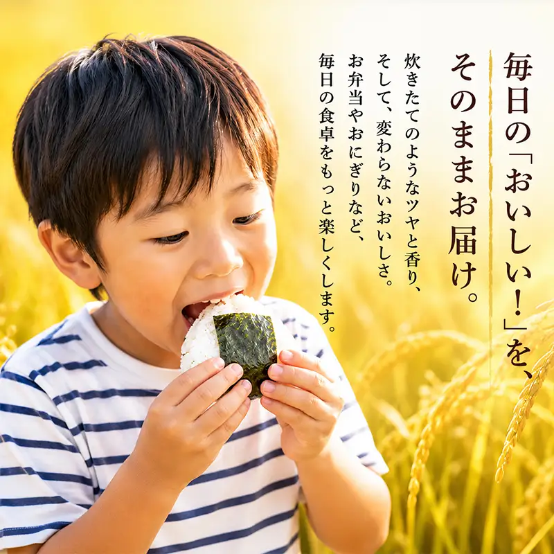 【新米】 令和8年産 先行予約 「コシヒカリ」 5kg ｜ 新米