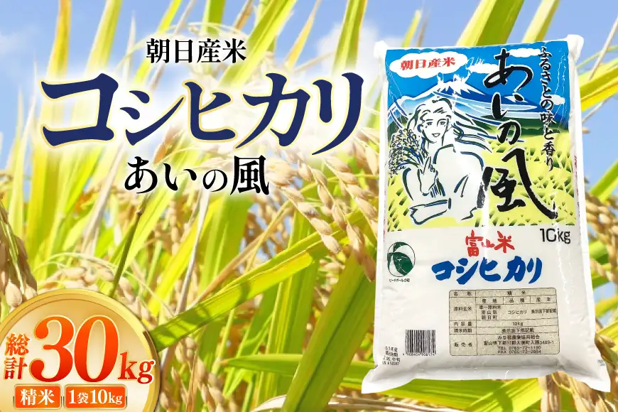 米 令和7年 コシヒカリ あいの風 精米 10kg 3回 定期便 総計30kg