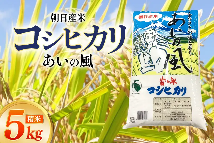 米 令和7年 コシヒカリ 精米 5kg あいの風