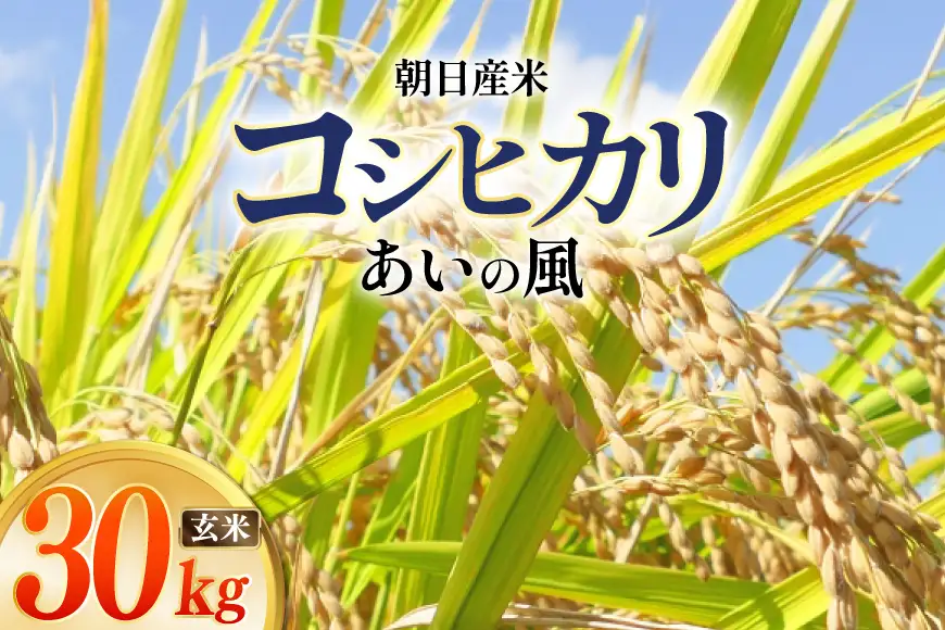 米 令和7年 コシヒカリ 玄米 30kg ×1袋 あいの風 | 富山県朝日町