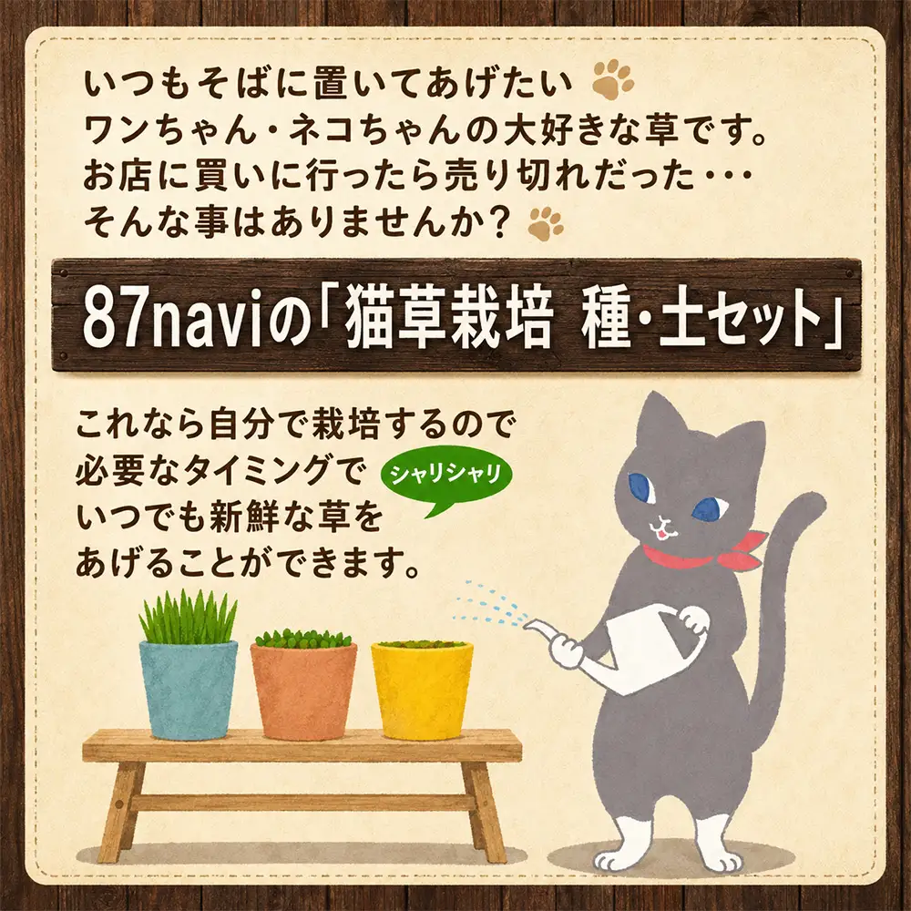 [猫草専用] 栽培用 良質な種とふわふわ土のセット [1206]