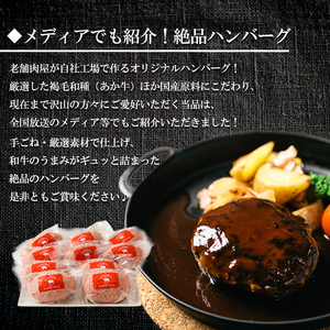 【矢野畜産】熊本県産 あか牛 手ごね生ハンバーグ 150g×10個 計1.5kg 産地直送 手づくり 国産原料 和牛 褐毛和種 あかげわしゅ にくやの プレミアム オリジナル メディア紹介 添加物不使用 記念日 贈答 ギフト 贈り物 阿蘇の自然の宝物 チルド 冷凍配送