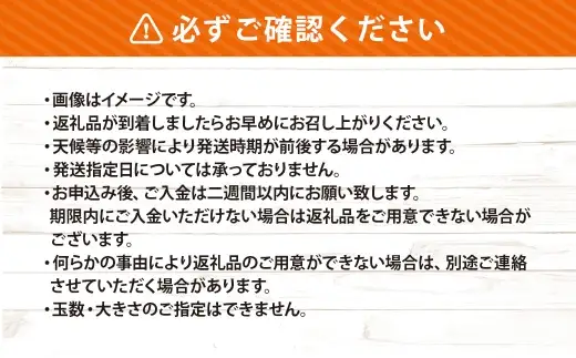 宮内伊予かん 約4.5kg みかん ミカン くだもの 果物 フルーツ 柑橘 柑橘系 柑橘類 果実 果汁 果肉 国産 【 2027年1月下旬～3月上旬発送予定 】 ( 1122 )