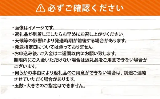 はるみ 約3.5kg みかん ミカン くだもの 果物 フルーツ 柑橘 柑橘系 柑橘類 果実 果汁 果肉 国産 【2027年1月下旬～2月上旬発送予定】 ( 1125 )