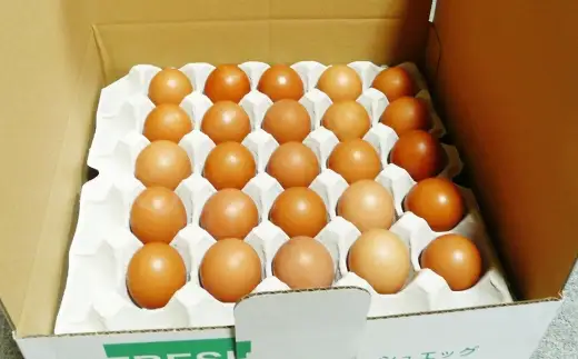 有精卵 50個入り ( 破卵保障 5個含む ) 卵 たまご タマゴ 玉子 卵かけご飯 TGK 鶏卵 鶏 ニワトリ 卵料理 低コレステロール 冷蔵
