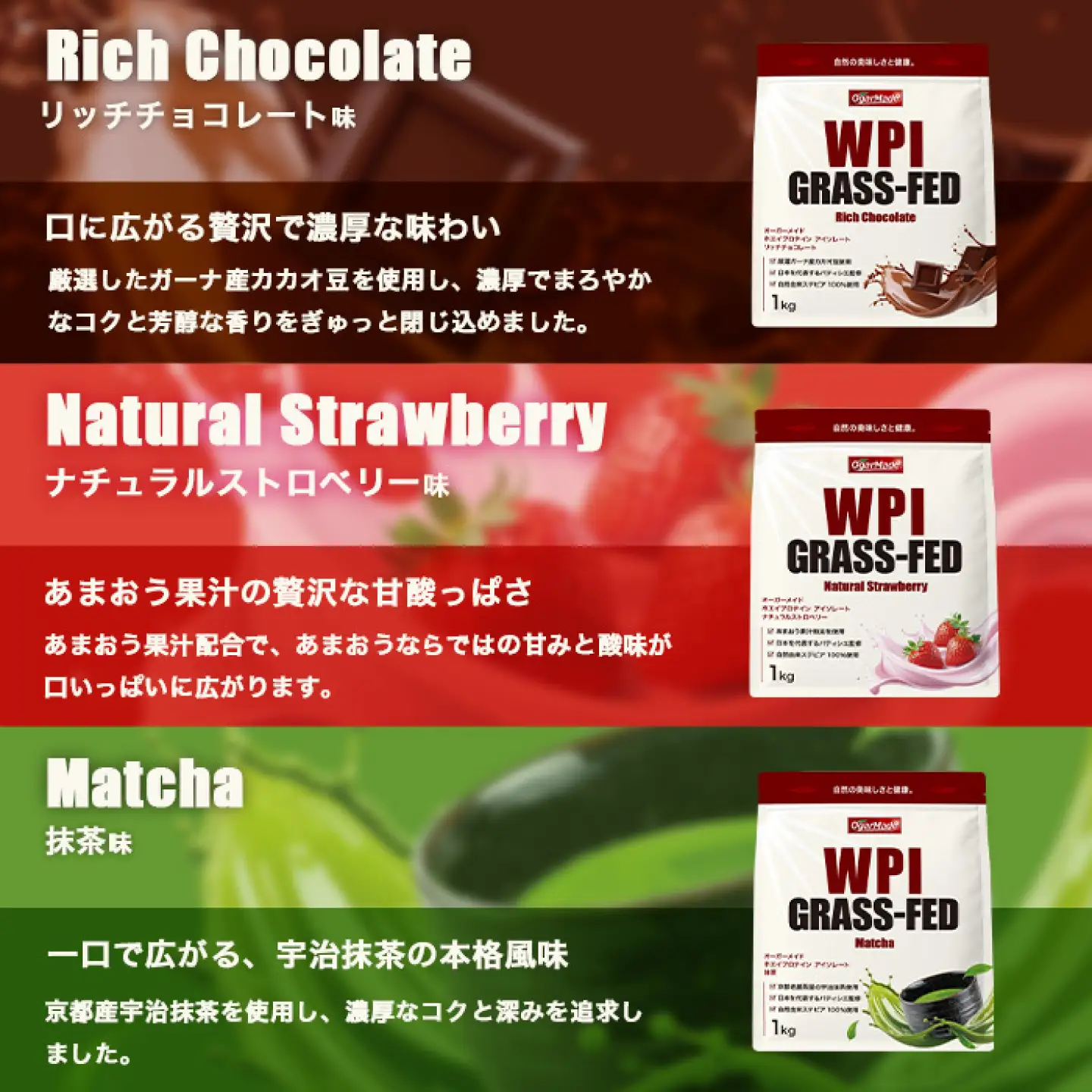 OgarMade アイソレート プロテイン WPI 1kg【味：リッチチョコレート】 ダイエット たんぱく質 ホエイ 岐阜市 / 犀印[ANEO162]