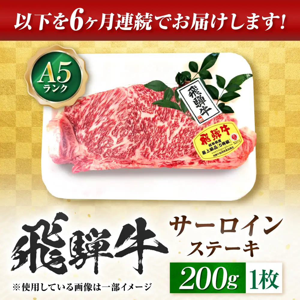【6回定期便】飛騨牛 A5等級 サーロインステーキ 1枚 牛肉 肉 お肉 ステーキ 岐阜市 / 肉の松久[ANIP064]