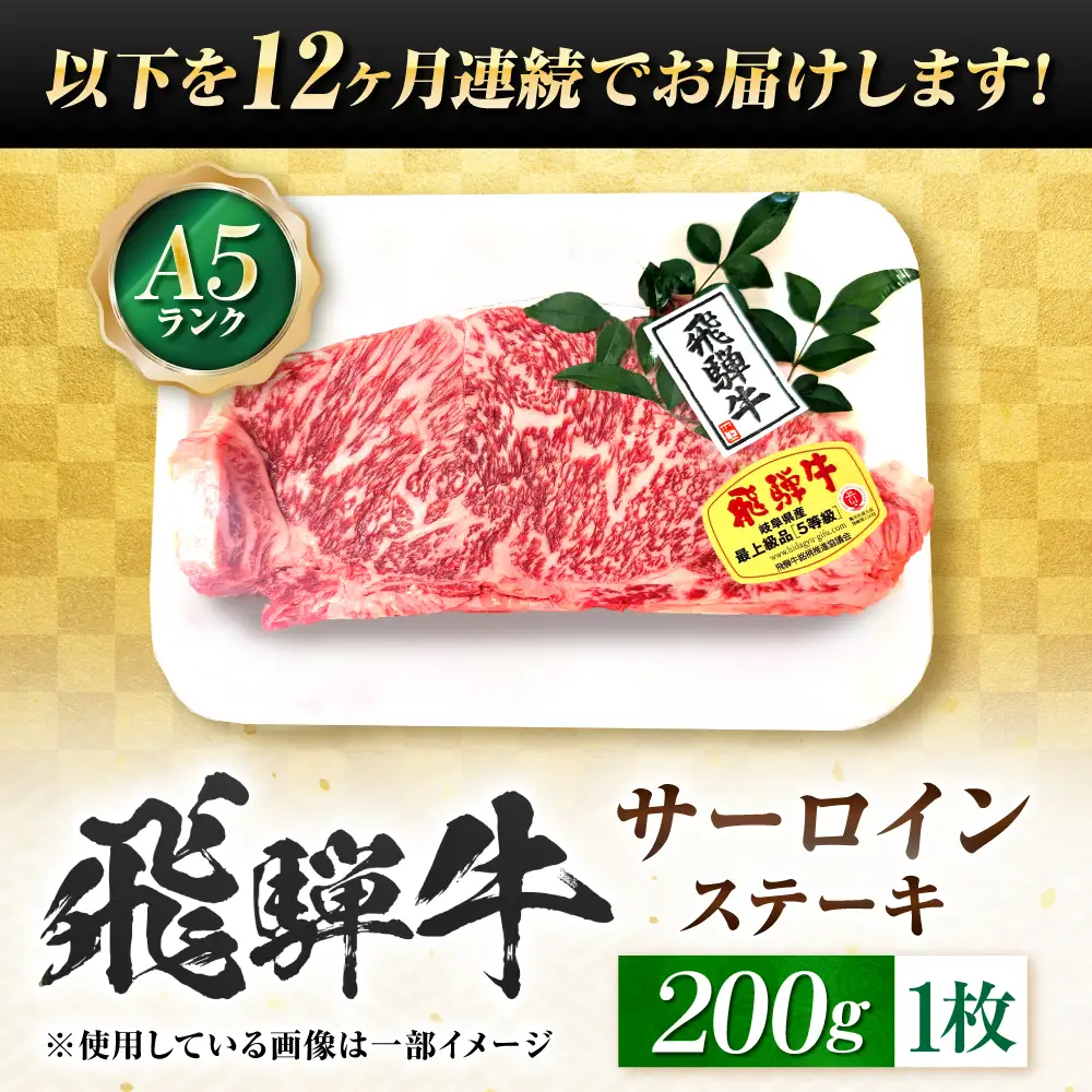 【12回定期便】飛騨牛 A5等級 サーロインステーキ 1枚 牛肉 肉 お肉 ステーキ 岐阜市 / 肉の松久[ANIP065]