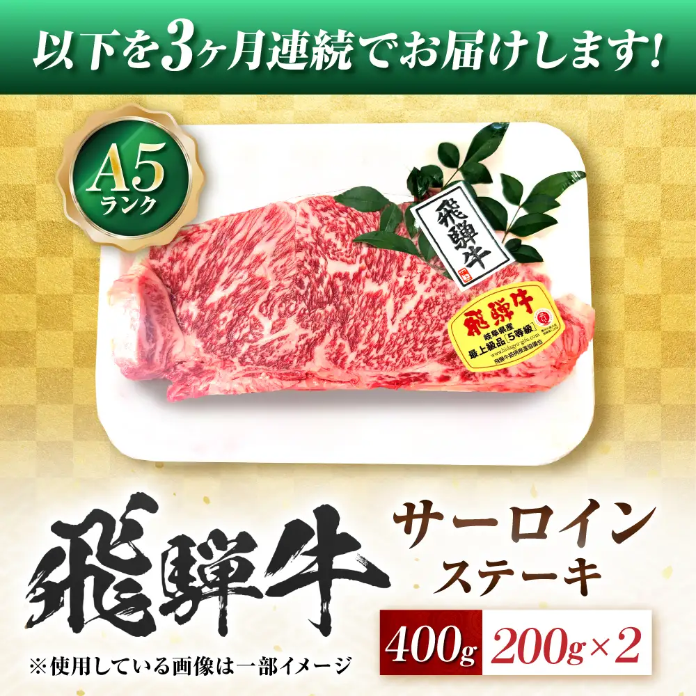 【3回定期便】飛騨牛 A5等級 サーロインステーキ 2枚 牛肉 肉 お肉 ステーキ 岐阜市 / 肉の松久[ANIP066]