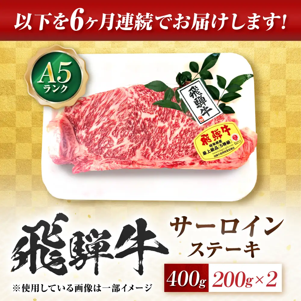 【6回定期便】飛騨牛 A5等級 サーロインステーキ 2枚 牛肉 肉 お肉 ステーキ 岐阜市 / 肉の松久[ANIP067]