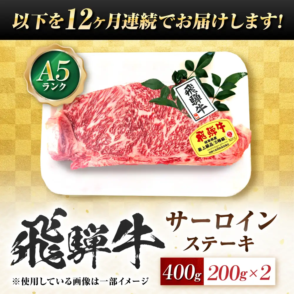 【12回定期便】飛騨牛 A5等級 サーロインステーキ 2枚 牛肉 肉 お肉 ステーキ 岐阜市 / 肉の松久[ANIP068]
