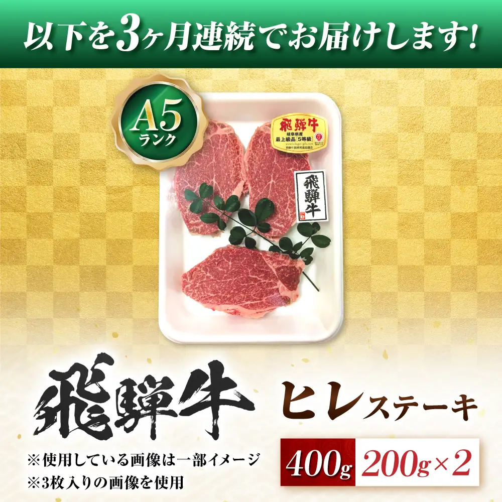 【3回定期便】飛騨牛 A5等級 ヒレステーキ 2枚 牛肉 肉 お肉 ステーキ 岐阜市 / 肉の松久[ANIP072]
