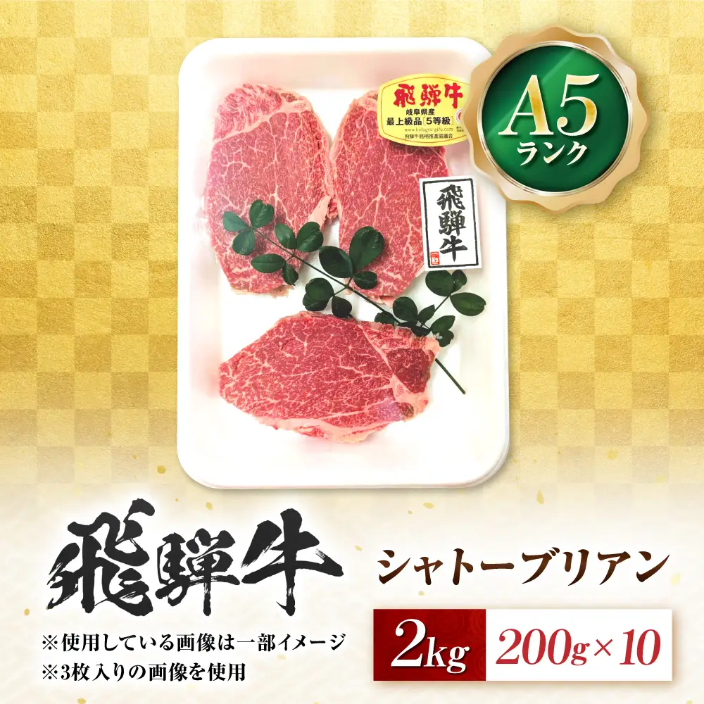 飛騨牛 A5等級 シャトーブリアンステーキ 10枚 計2000g（200g/1枚） 牛肉 肉 お肉 ステーキ 岐阜市 / 肉の松久[ANIP092]