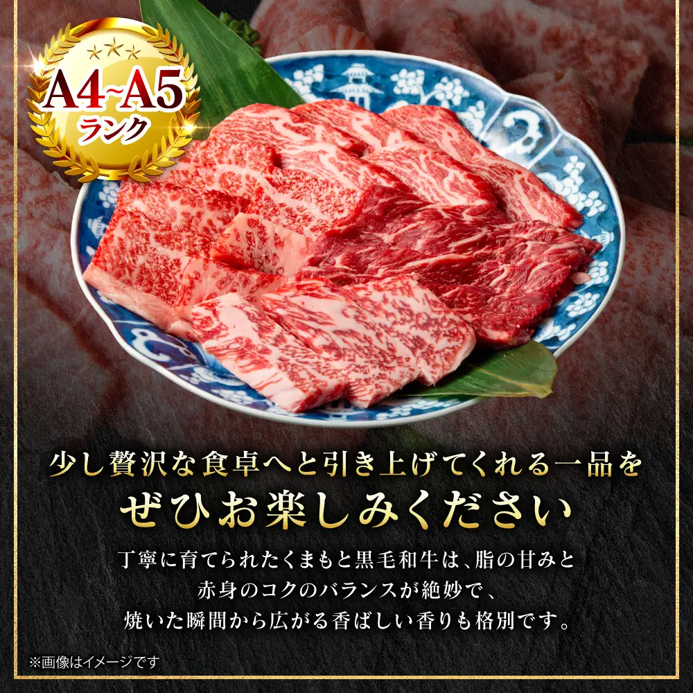 牛肉 くまもと黒毛和牛 焼肉用 500g （250g×2パック） A4～A5ランク 牛肉