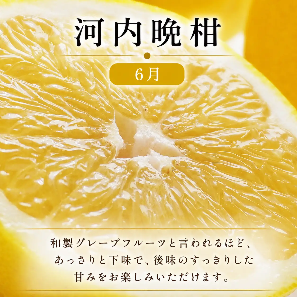 定期便 4回 4ヶ月 レモン ポンカン 美生柑 河内晩柑  柑橘 みかん 蜜柑 みしょうかん フルーツ 果物 くだもの ばんかん かんきつ ゼリー ジュース アイス マーマレード 旬 季節 限定 贈答 ギフト mikan ジューシー サラダ ピール 厳選 国産 愛媛 ご当地ブランド 愛媛県 愛南町 フルーツアイランド･マルエム直販