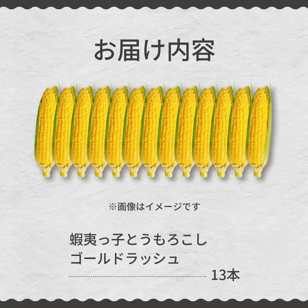 蝦夷っ子とうもろこし ゴールドラッシュ 13本 トウモロコシ