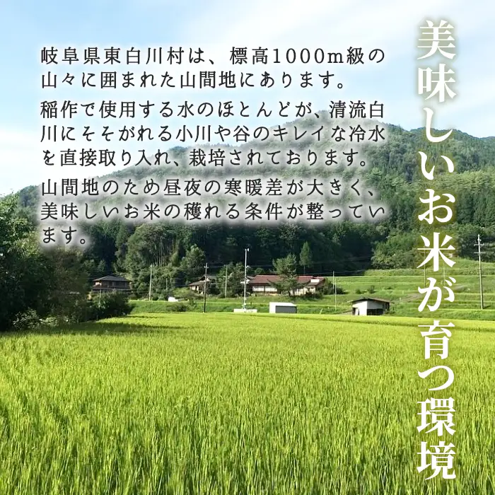 令和7年産 コシヒカリ 米 5kg 白米 精米 東白川村産 岐阜県 お米 こめ 精米 ご飯 米 おにぎり