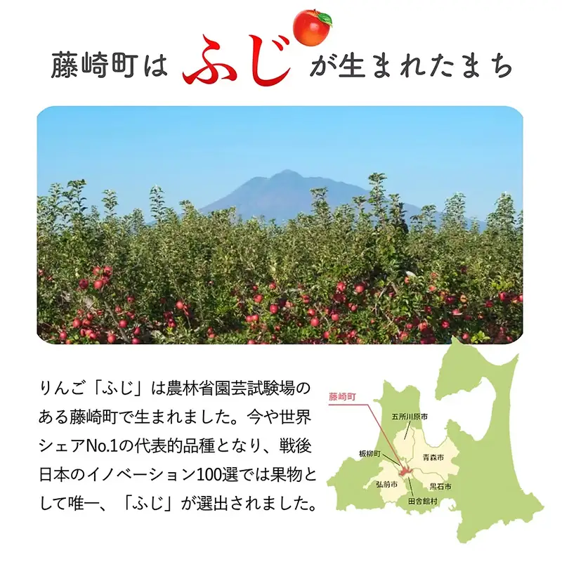 無添加 ドライアップル 5袋セット 【アップルアーク】 青森りんご 林檎 リンゴ スイーツ ドライリンゴ 元祖ふじ 葉取らず 発祥の地 果物 くだもの フルーツ おすすめ 青森県産 藤崎町 F41-0162