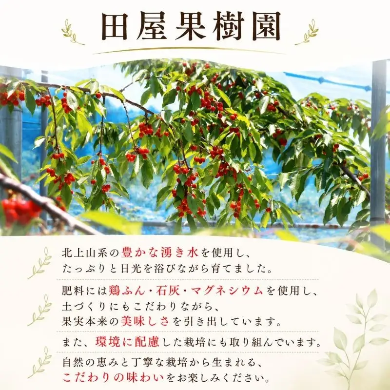 ★9/7まで受付★ 西洋梨ジュース 720ml×3本 田屋果樹園 taya022 西洋梨ジュース