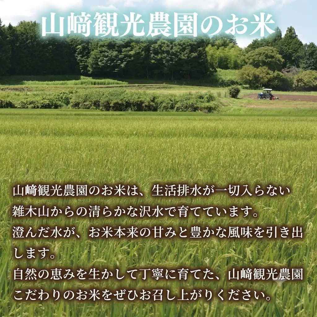 【食べ比べセット】山﨑観光農園のお米 10㎏ コシヒカリ×とちぎの星 （AU056）